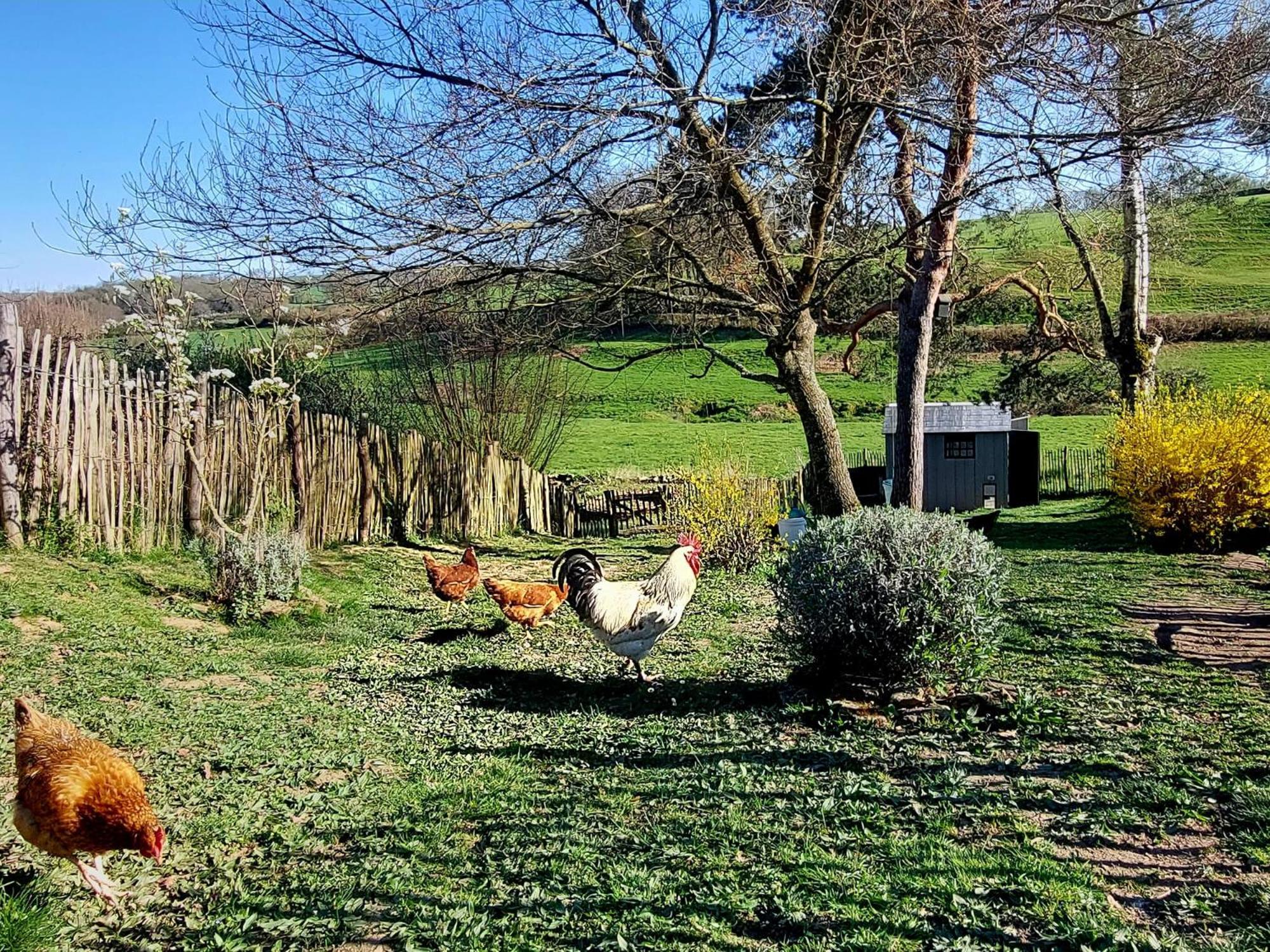 Maison Du Grand Moulin Saint-Aubin-en-Charollais Zewnętrze zdjęcie
