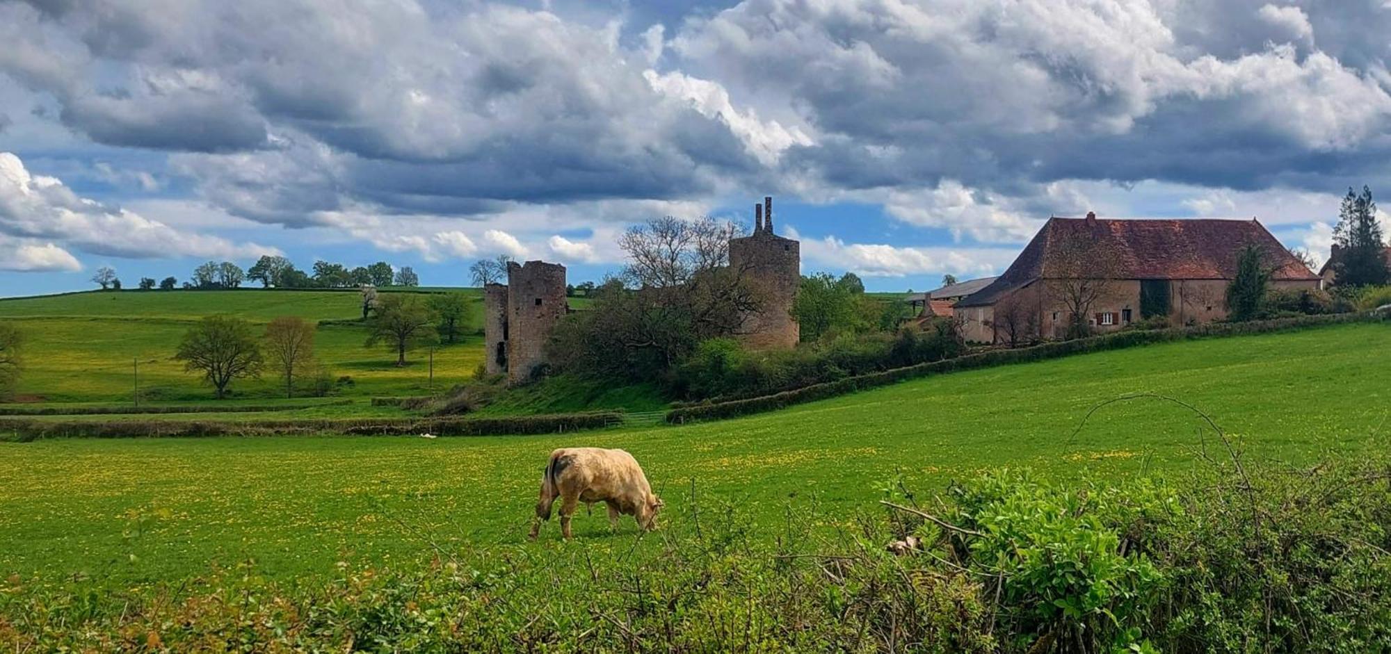 Maison Du Grand Moulin Saint-Aubin-en-Charollais Zewnętrze zdjęcie