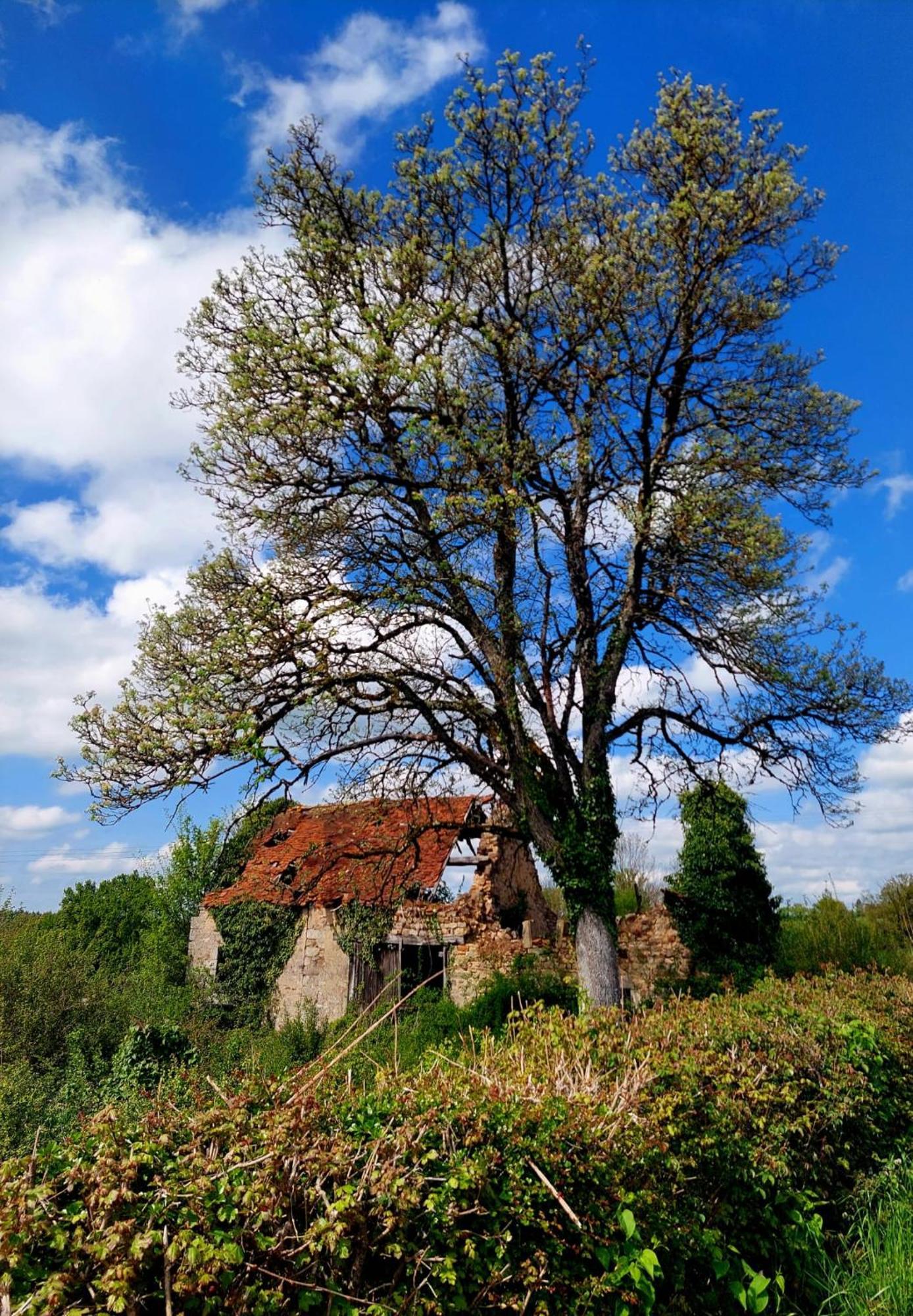Maison Du Grand Moulin Saint-Aubin-en-Charollais Zewnętrze zdjęcie